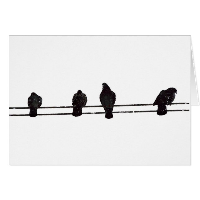 Aves (Anverso (Horizontal))