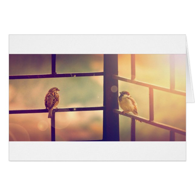 Aves al sol de la noche (Anverso (Horizontal))