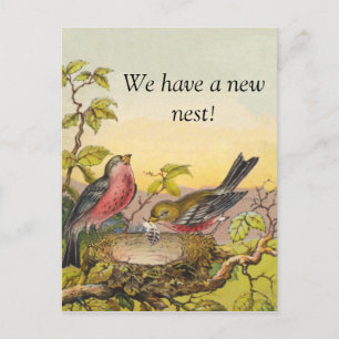 Aves Anidando Nueva Dirección Tarjeta Postal