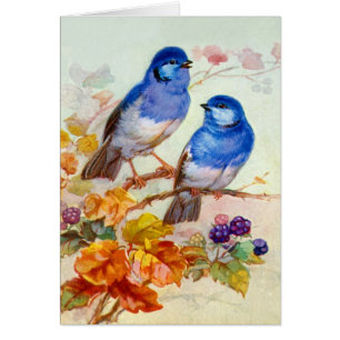 Aves azules