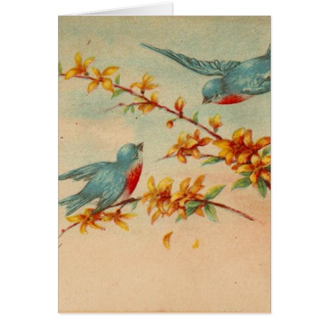 Aves azules vintage (Frente)