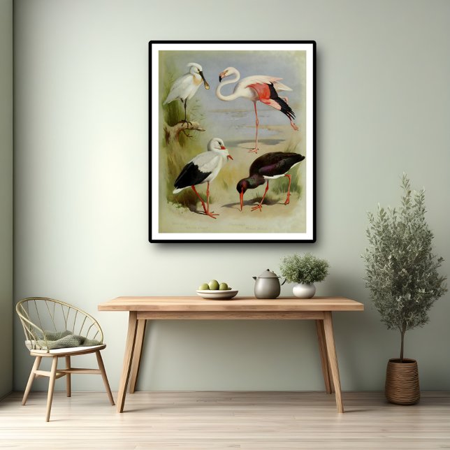 Aves británicas, Ilustraciones de arte (Subido por el creador)
