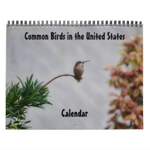 Aves comunes en el calendario de Estados Unidos