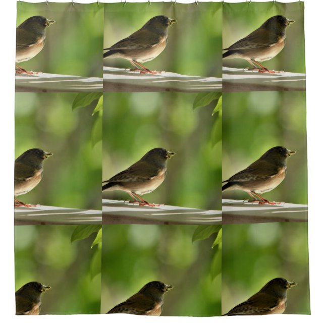 Aves cortadas Cortina de ducha (Anverso)