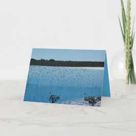 Aves costeras en la tarjeta de felicitación del