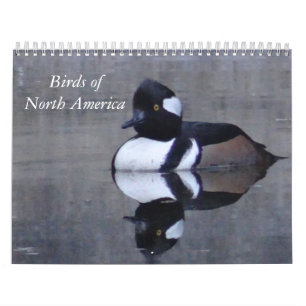 Aves de América del Norte calendario de calandar