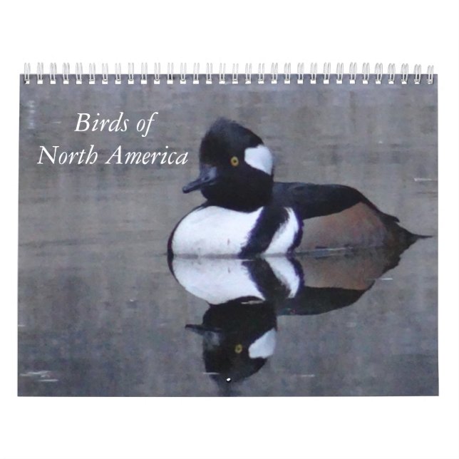 Aves de América del Norte calendario de calandar (Tapa)