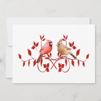 Aves de amor