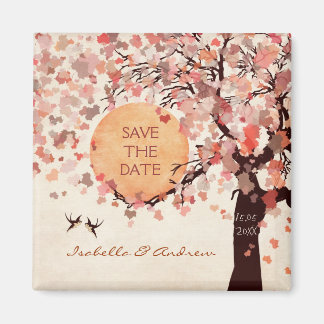 Aves de Amor - Boda Caída Salva el imán de la Fech