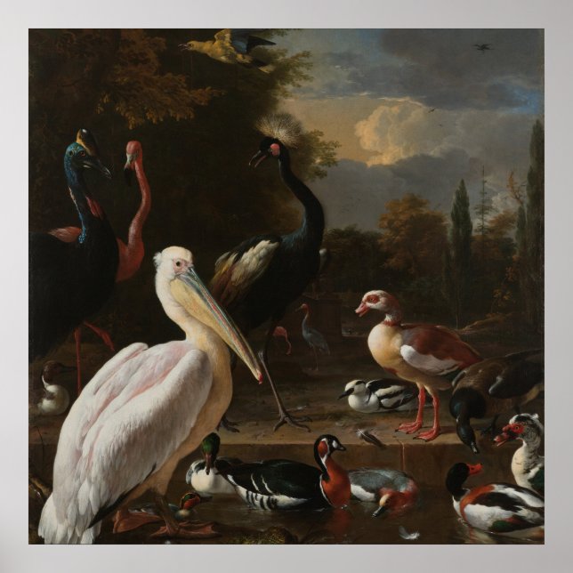 Aves de arte fino (Frente)