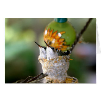 Aves de bebé