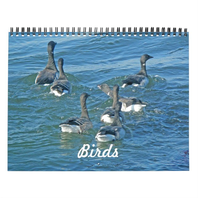 Aves de calendario (Tapa)