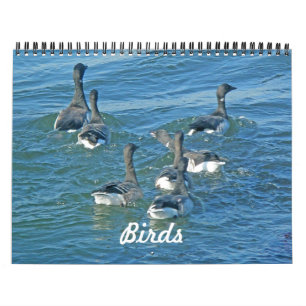 Aves de calendario