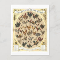 Aves de corral de época de la postal mundial
