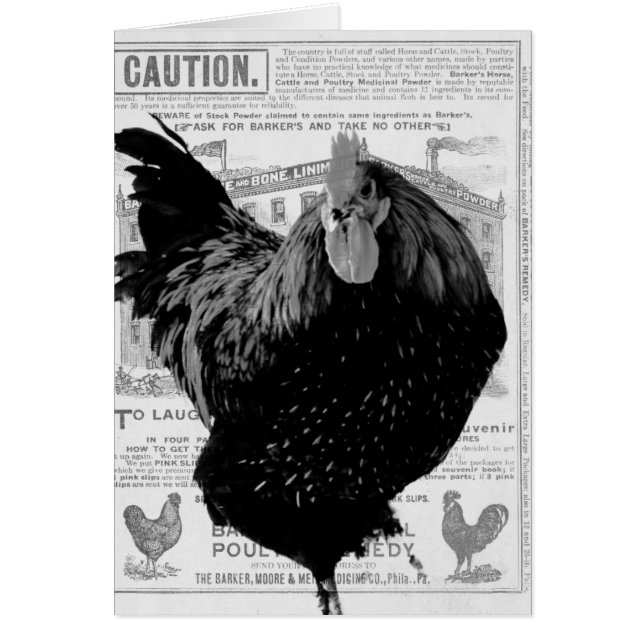 Aves de corral especiales de Baker (Frente)