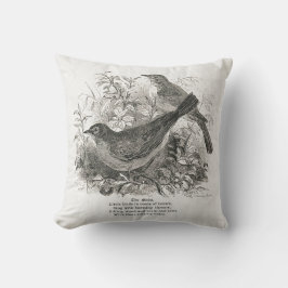 Aves de época adornan esta almohada de granja