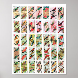 Aves de época jugando cartas animales Arte de vida