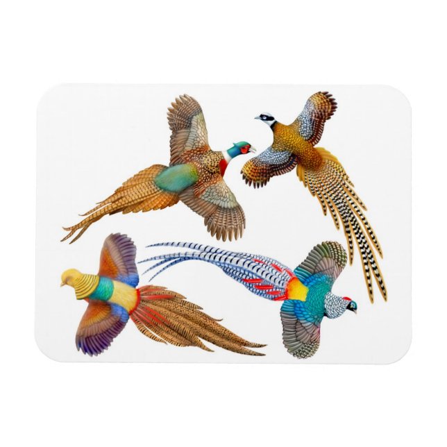 Aves de faisán silvestre ornamental imán premium (Horizontal)