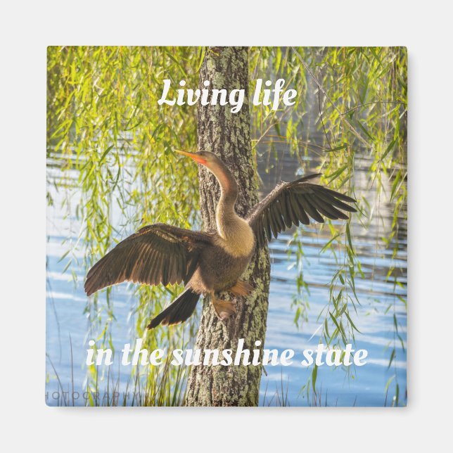 Aves de Florida 2 pulgadas cuadrado imán (Frente)