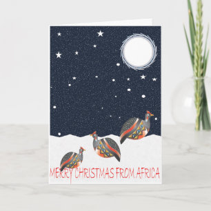 AVES DE GUINEA DE NAVIDAD 35