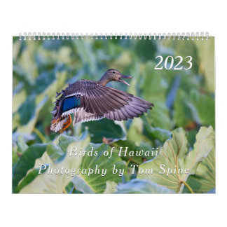 Aves de Hawái - Calendario 2023