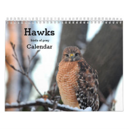 Aves de Hawks en el calendario de presas