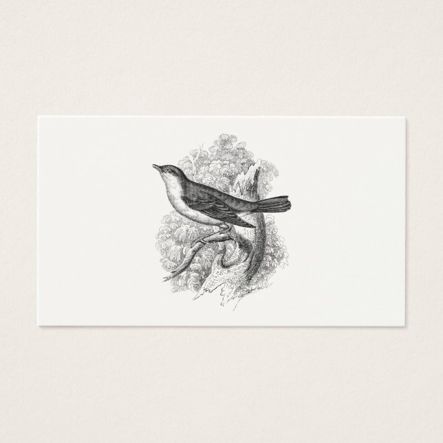 Aves de Ilustracion de pájaro de la vieja década d (Frente)