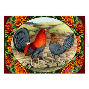 Aves de juego hermosas