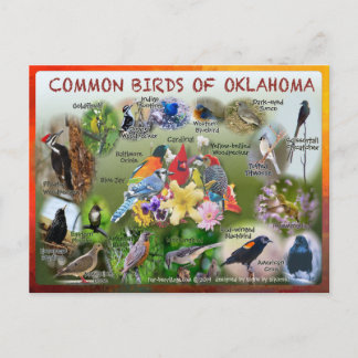aves de la postal 19r de Oklahoma