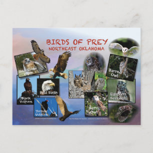 aves de la postal 19r de Prey Oklahoma