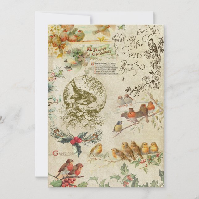 Aves de Navidad ruidosas y holly éfemera (Anverso)