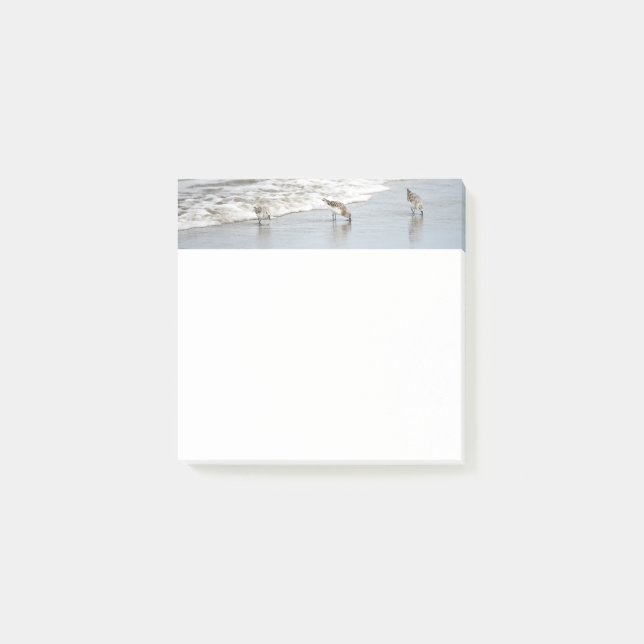 Aves de playa en Surf 3x3 Notas (Anverso)