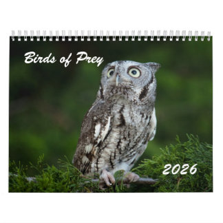 Aves de Presa Impresionantes calendario de fotos 2