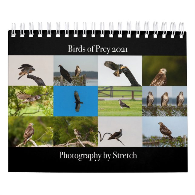 Aves de Prey - Calendario pequeño de dos páginas (Tapa)