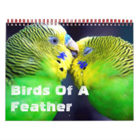 Aves De Un Calendario De La Pluma