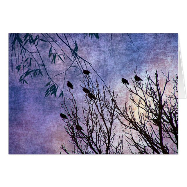 Aves de una pluma (Anverso (Horizontal))