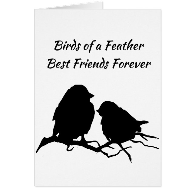 Aves de una pluma mejores amigos para siempre (Frente)