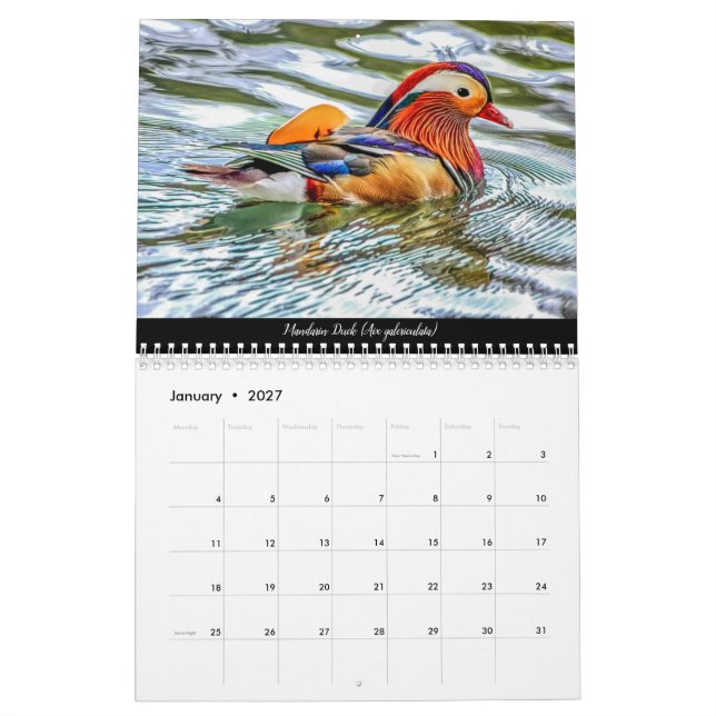 Aves del calendario de Dean 2021 (Jan 2027)