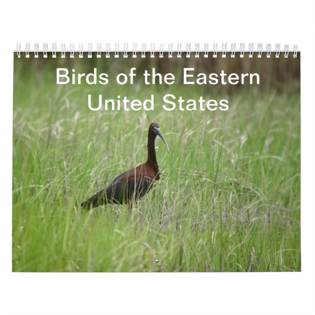 Aves del calendario de los Estados Unidos oriental (Tapa)