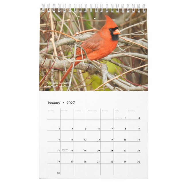 Aves del Calendario de Nueva York Occidental (Jan 2027)