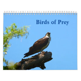 Aves del calendario de presas