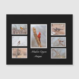 Aves del Cañón Madera Arizona