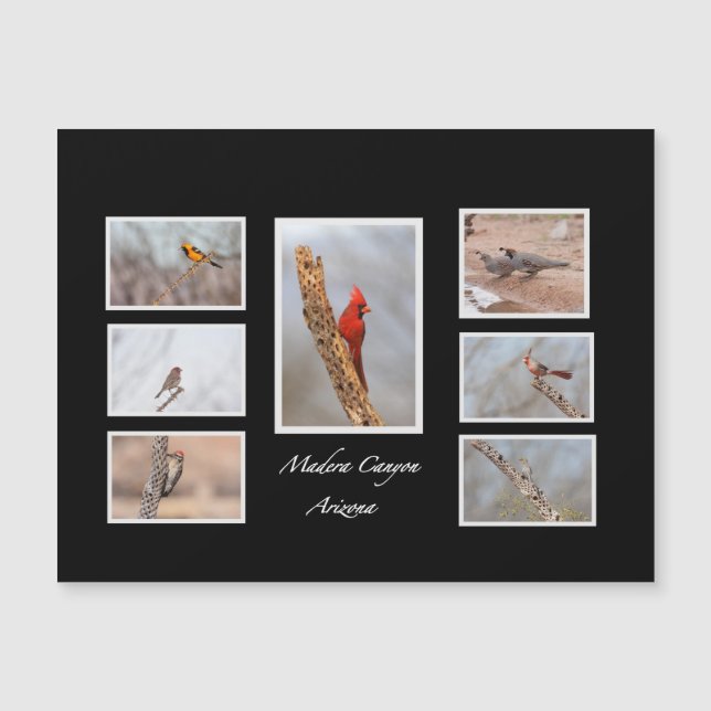 Aves del Cañón Madera Arizona (Anverso)