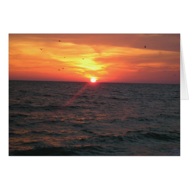 Aves del paraíso (Anverso (Horizontal))