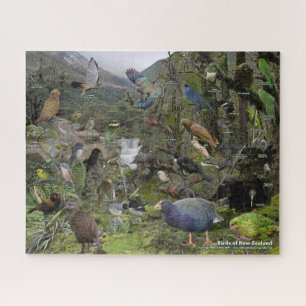 Aves del rompecabezas de Nueva Zelanda