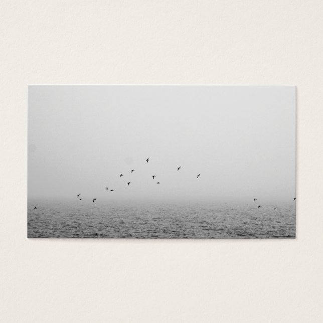 Aves en la niebla (Frente)