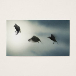 Aves en movimiento