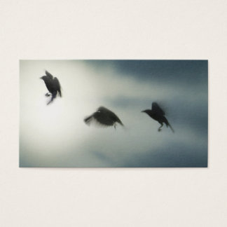 Aves en movimiento