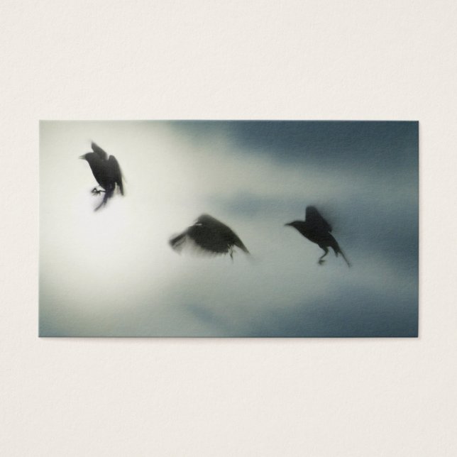 Aves en movimiento (Frente)