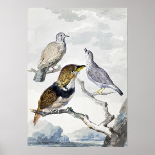 Aves en Rama Arte Tono Neutral Elegante